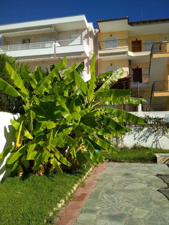 Vonkajšia záhrada v ubytovaní Kali View Apartment
