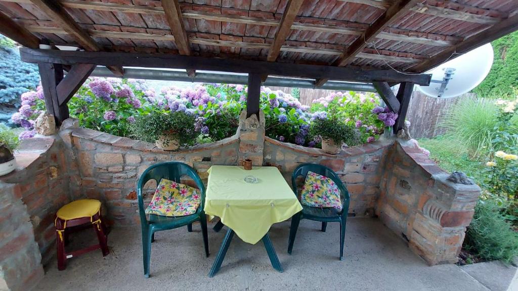 Zahrada ubytování Apartman Nebojša