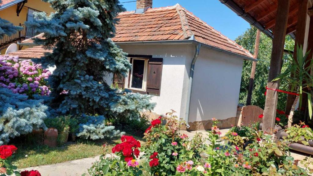 ein kleines Haus mit Blumen davor in der Unterkunft Apartman Nebojša in Rudnik