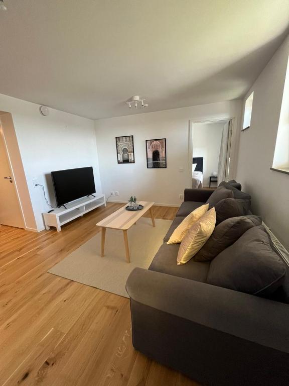 a living room with a couch and a flat screen tv at Elme apartment in Växjö