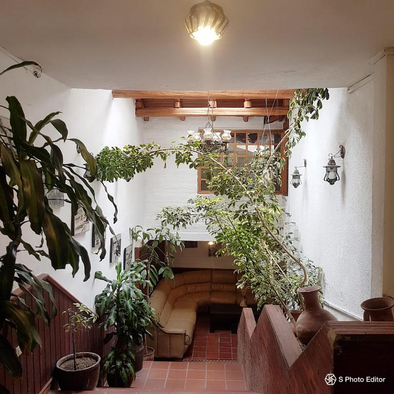 Zahrada ubytování Hostal La Catolica