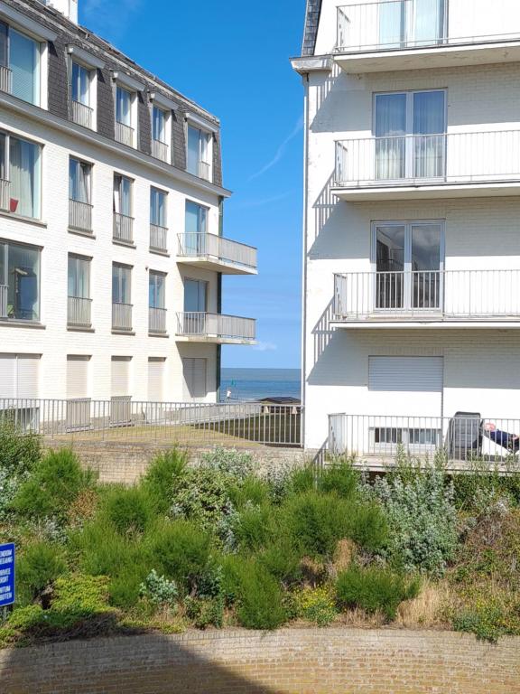 Beachfront Vakantie appartement De Haan Cormoran - Housity