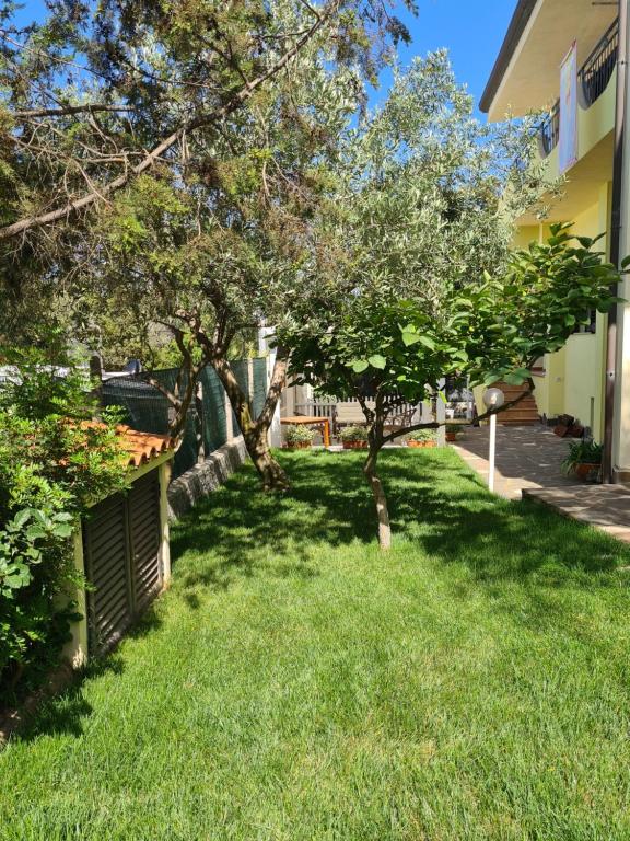 un cortile con prato verde e alberi accanto a un edificio di Appartamento La Pergola a Cala Liberotto