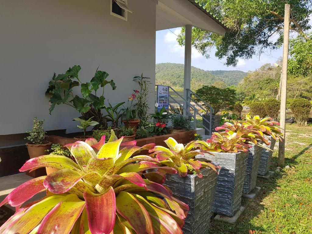 Zahrada ubytování บังกะโลบ้านสวนเอก Bungalow Baan Suan Aek