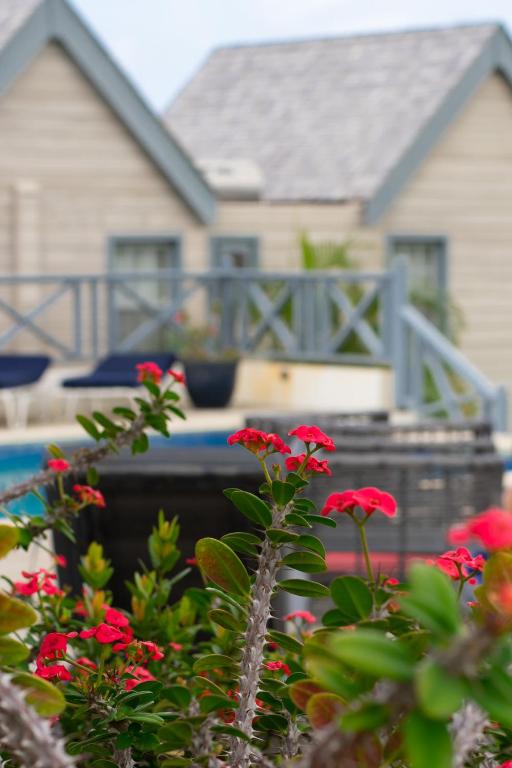 a house with red flowers in front of a yard at West Rock Villas in Saint James