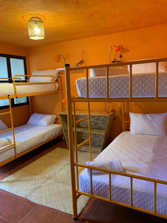 Postel nebo postele na pokoji v ubytování Why Not Hotel