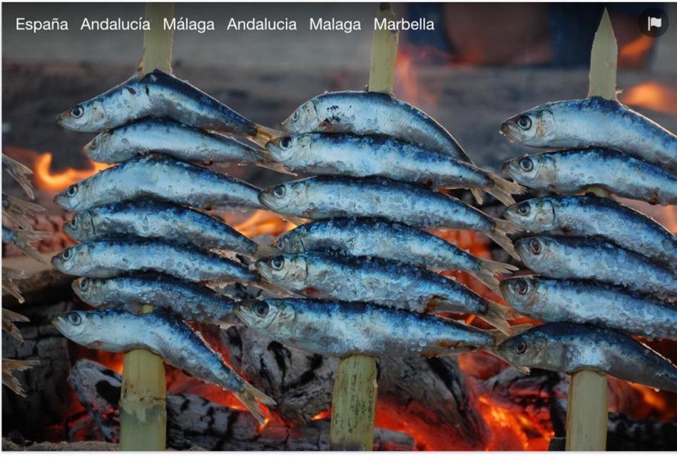 a group of fish on a stick over a fire at Huelintown in Málaga