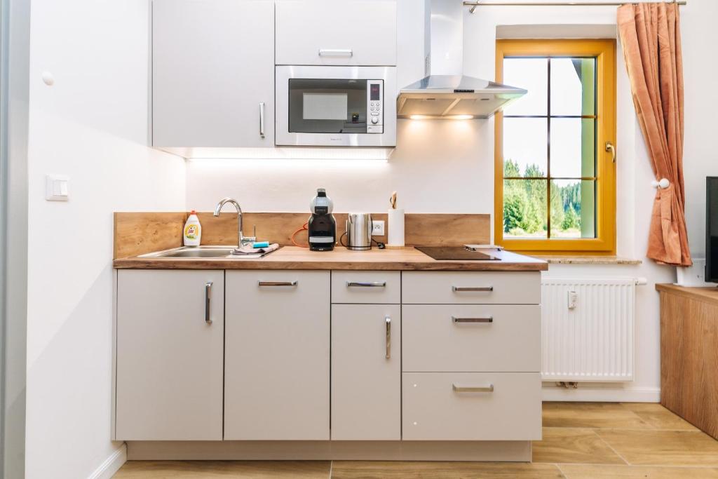 Kuchyň nebo kuchyňský kout v ubytování Apartment Hugo Blatná