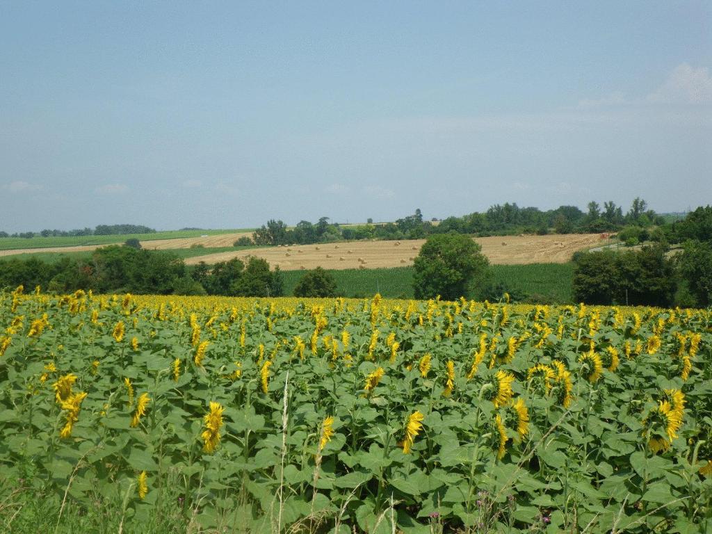 Příroda nedaleko bed and breakfast