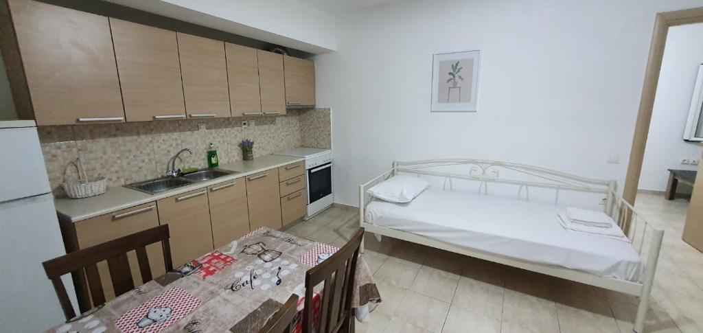 Kuchyň nebo kuchyňský kout v ubytování Dimitra city apartment