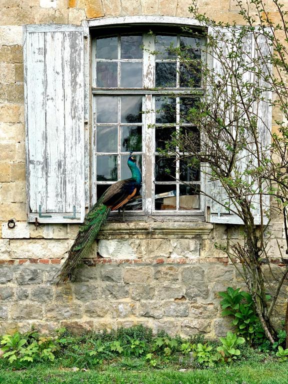 Zahrada ubytování Château de Contay Guesthouse - 1753