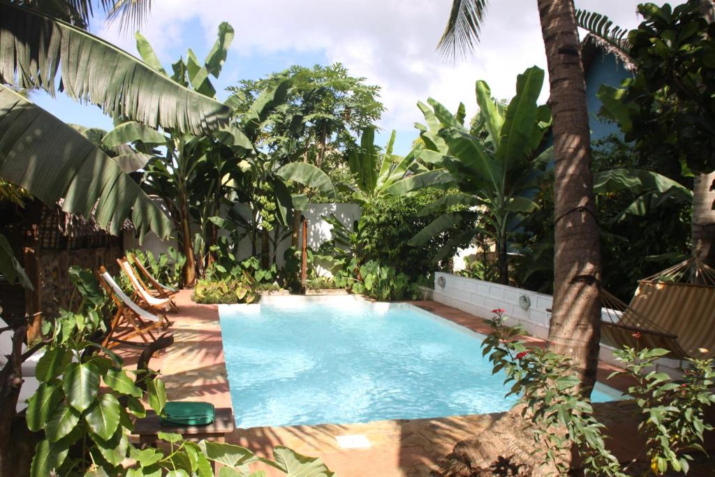 une piscine dans un jardin planté de palmiers dans l'établissement Les bungalows d'Ambonara, à Hell-Ville