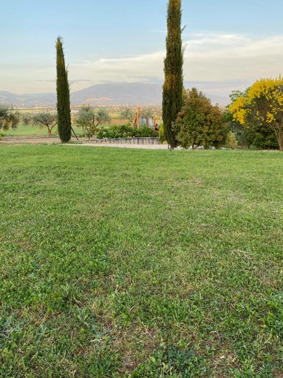 Casale in collina vista Assisi,Brufa di Torgiano - Apartment - Ground Floor