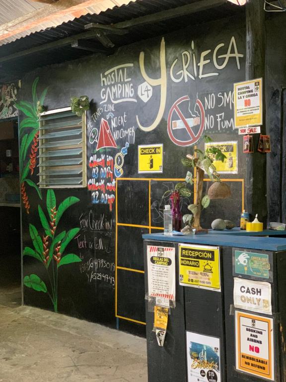 Galería fotográfica de Surf Camp en Bocas del Toro