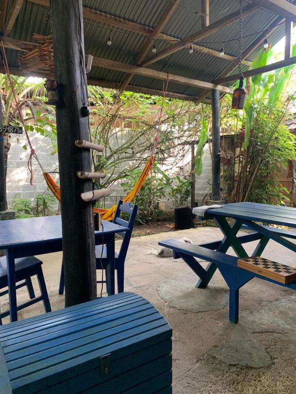 Galería fotográfica de Surf Camp en Bocas del Toro