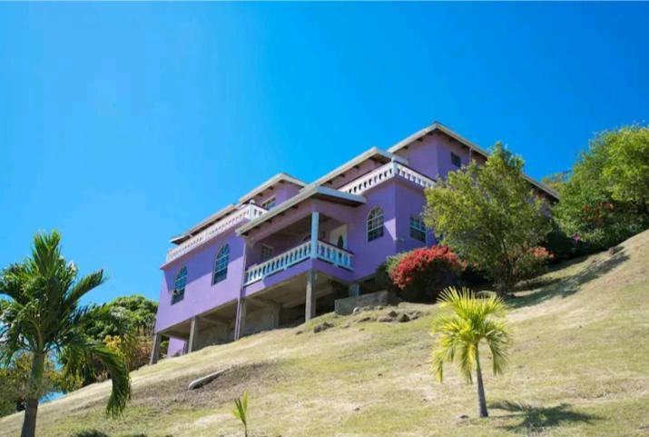 a purple house on top of a hill with palm trees at Altare - Breezy with a View in Grand Anse
