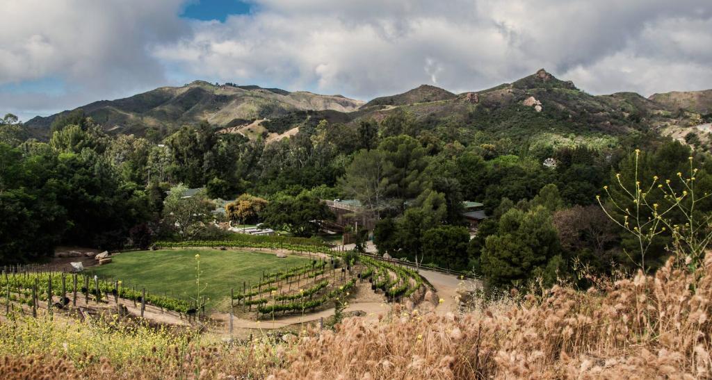 View from the top ☀️ Calamigos Beach Club - a breathtaking five-acre ranch  along the Malibu coast where Corral Canyon meets the Pacific…