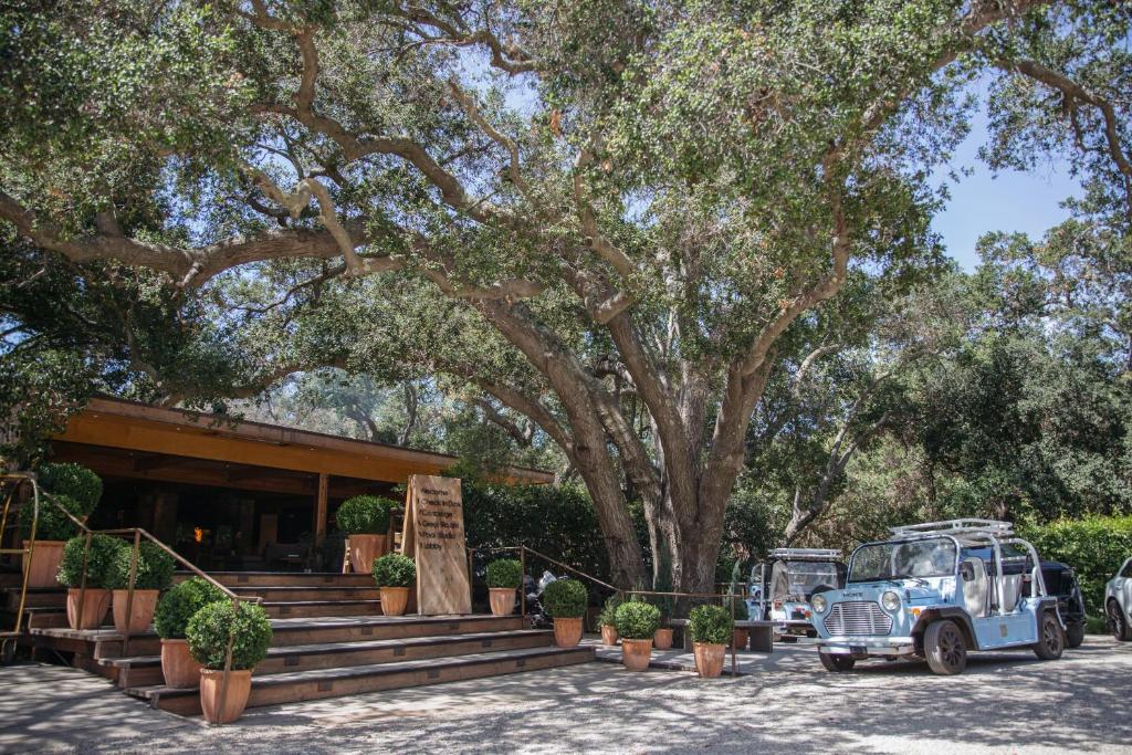 a bus is parked in front of a tree at Calamigos Guest Ranch and Beach Club in Malibu