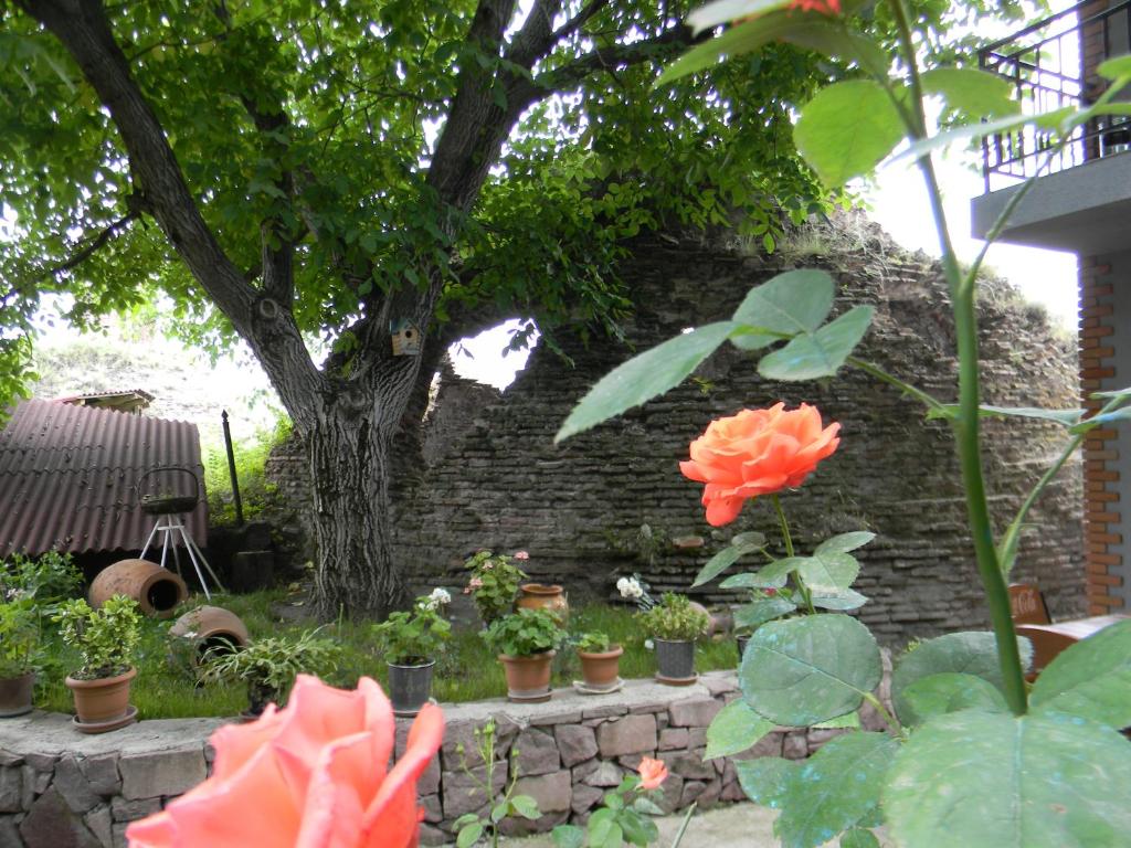 Giardino di Hotel Beni