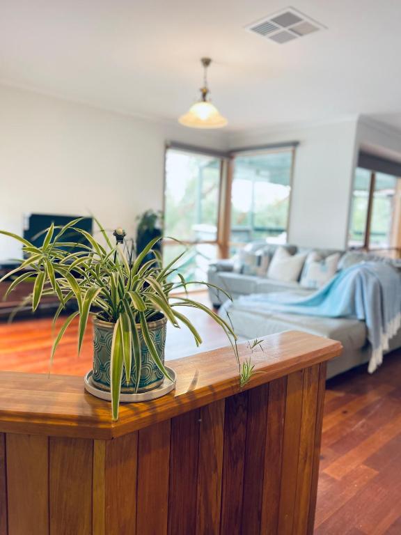 una sala de estar con una mesa con una maceta. en Gorgeous house near beach with nature view, en Frankston