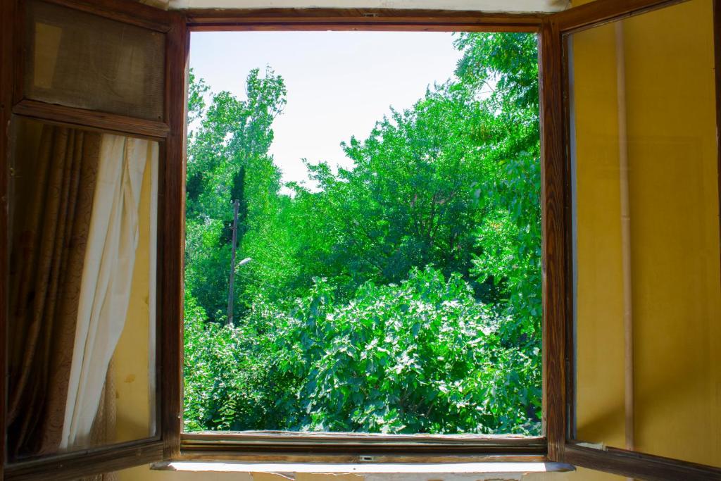 Zahrada ubytování Nino's Guest House