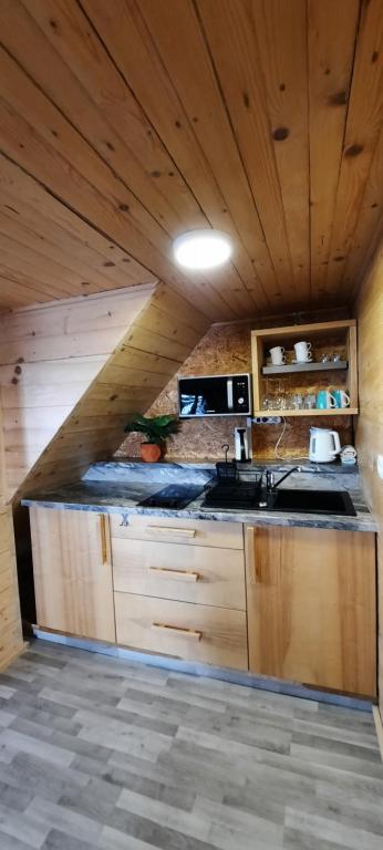 Kuchyň nebo kuchyňský kout v ubytování Apartments Zvoh, Krvavec, Ski-in, Ski-out