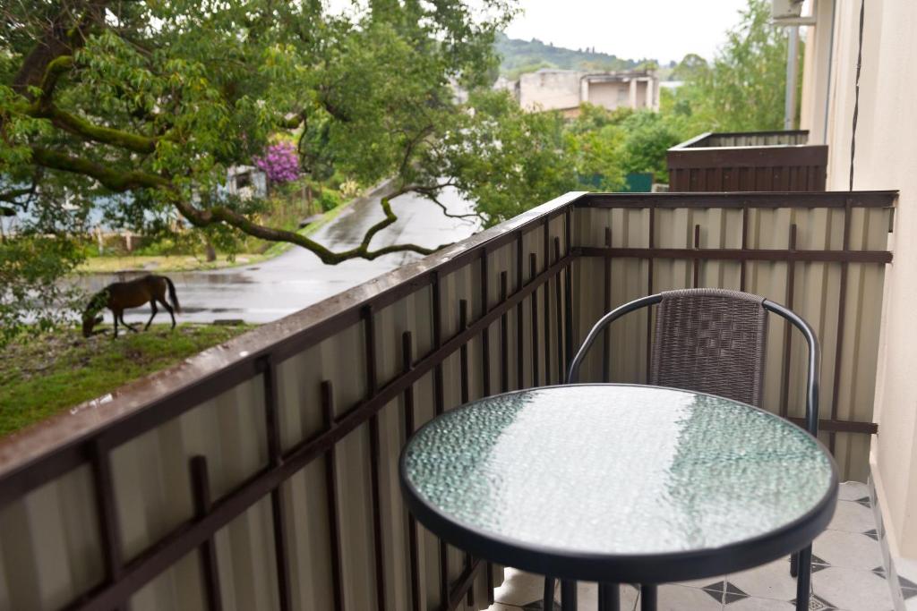 Příroda nedaleko apartmánu