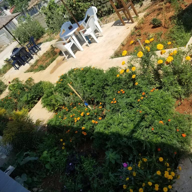 Rey Garden Villa - Imazhi 9