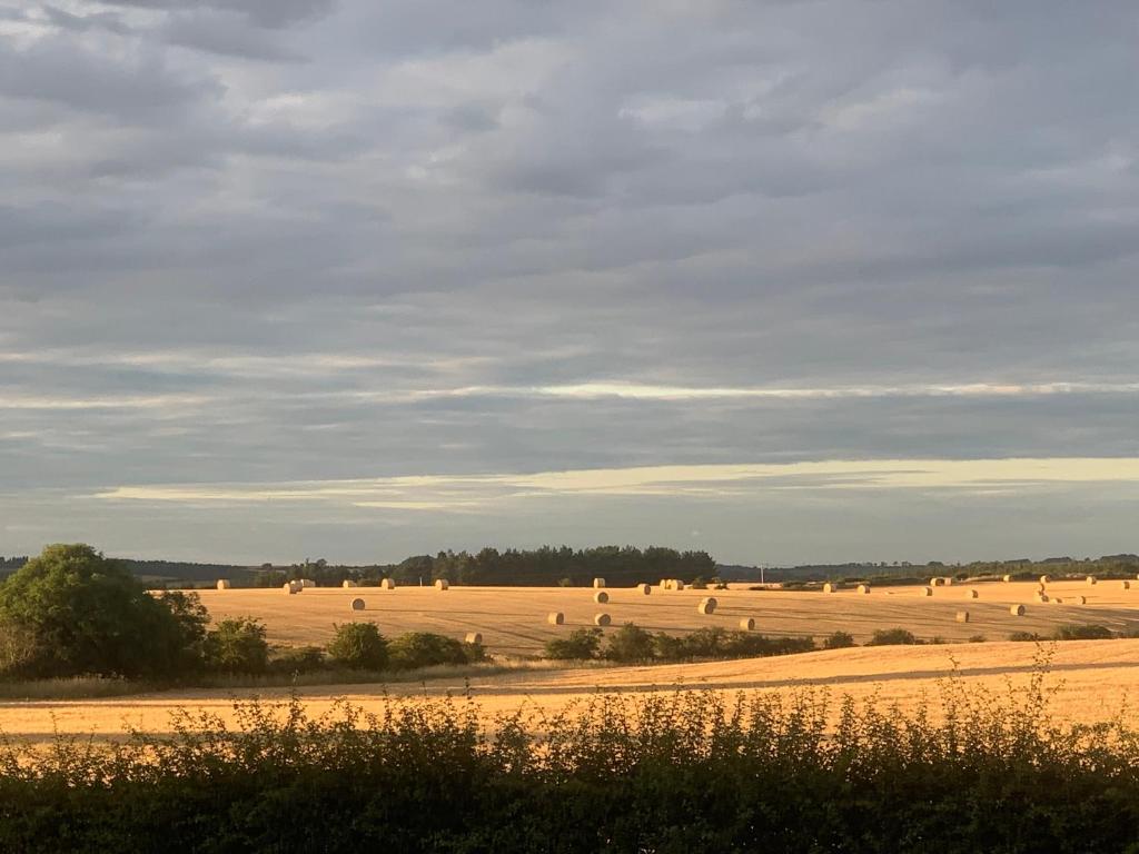 a field of hay with many animals in it at Bankfoot Farm Glamping 3 in Stocksfield