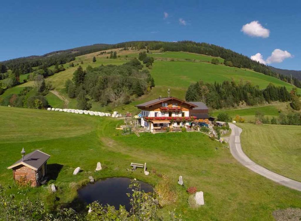 a house on top of a green hill with a pond at Stanglehen in Mittersill