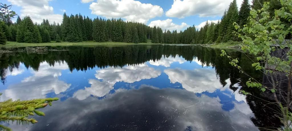 Příroda nedaleko apartmánu