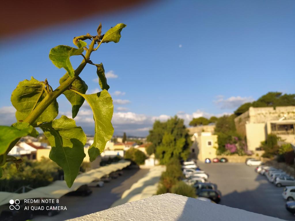 Príroda v okolí apartmánu