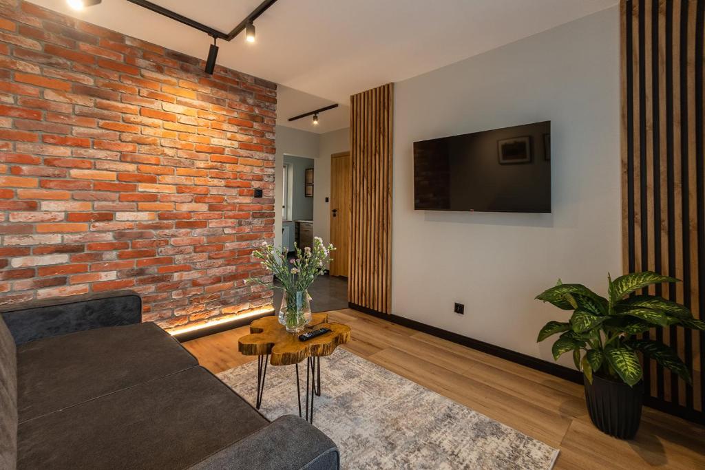 Televízia a/alebo spoločenská miestnosť v ubytovaní Bison Apartamenty