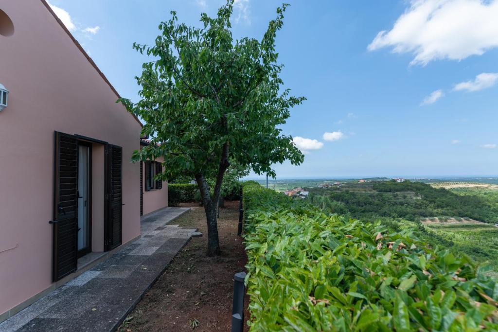 Príroda v okolí vily