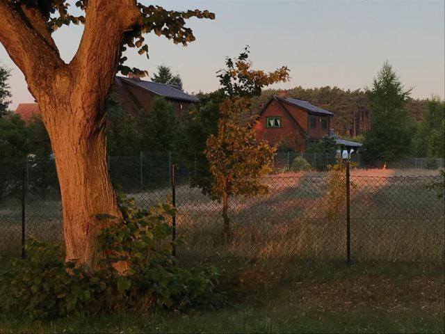 un árbol en un campo junto a una valla en Siesta Country en Świebodzin