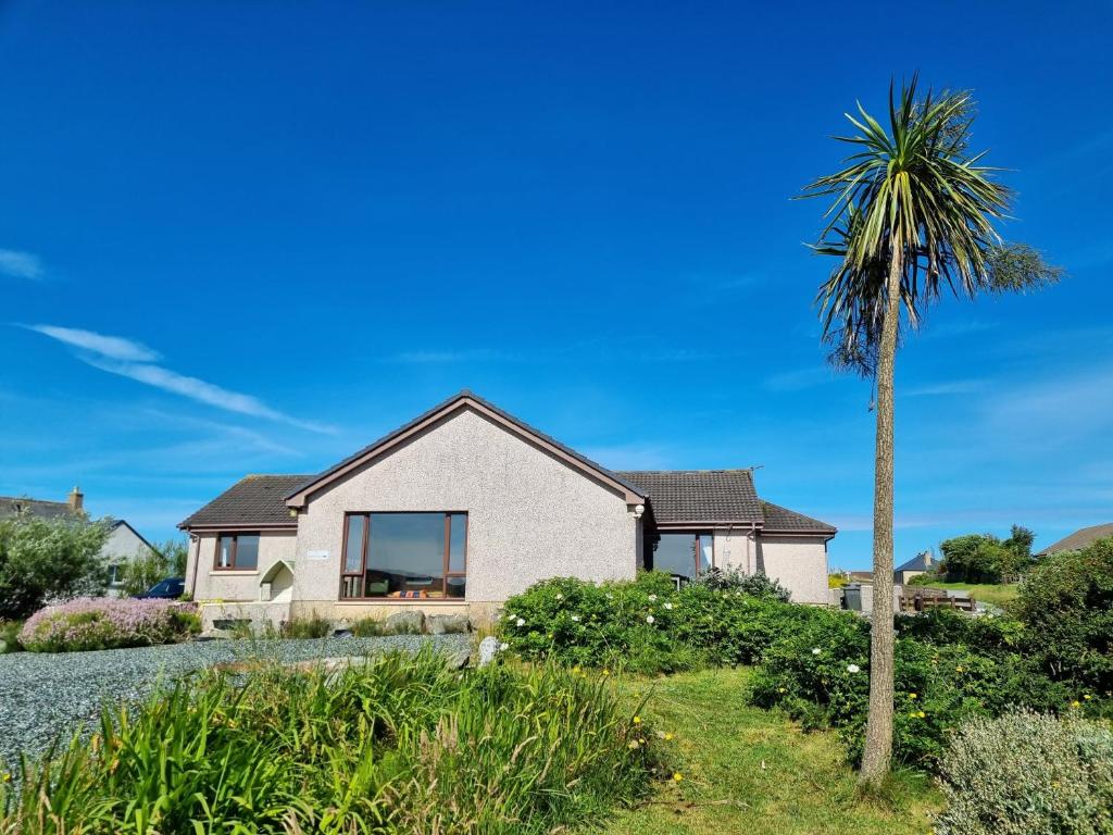 a palm tree in front of a house at Brae Lea House, Lochboisdale, South Uist. Outer Hebrides in Lochboisdale