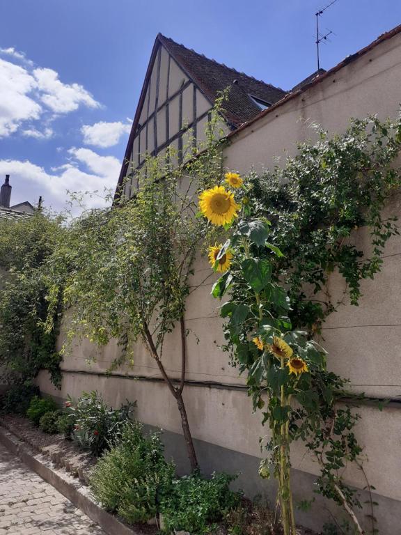 Vonkajšia záhrada v ubytovaní Clos Montcenoux, au coeur de Bourges.