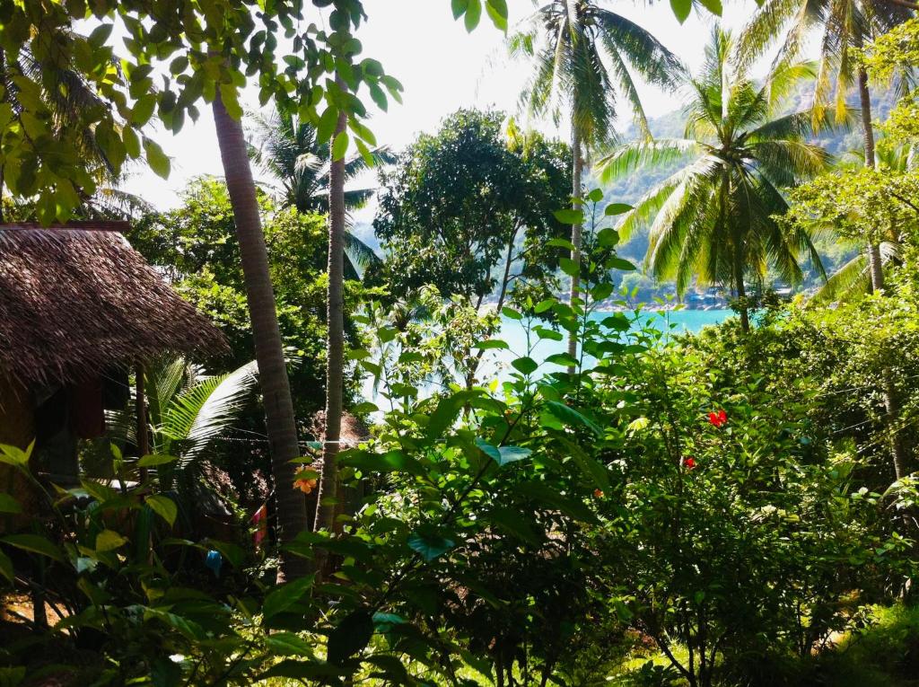 a view of a jungle with palm trees and the ocean at Bambu Huts in Baan Tai