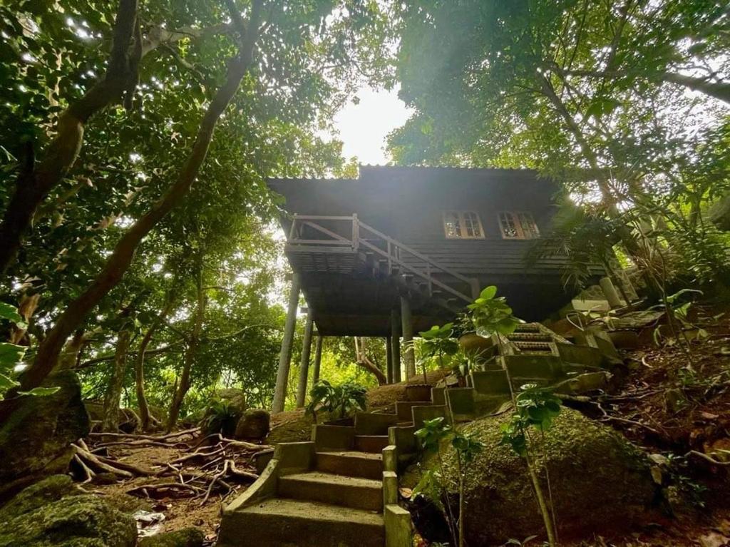 a tree house in the middle of a forest at Bambu Huts in Baan Tai
