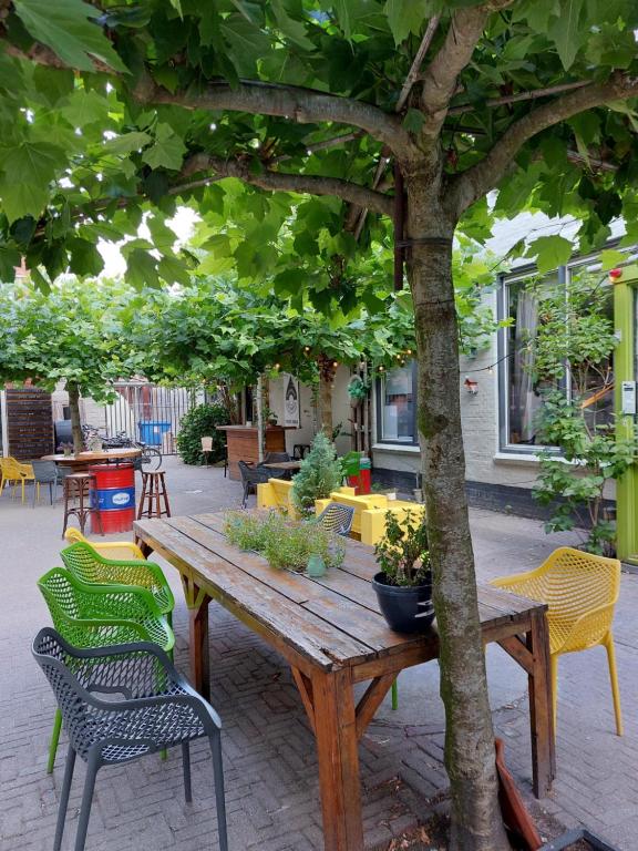 Simplon Hostel - Resim 3