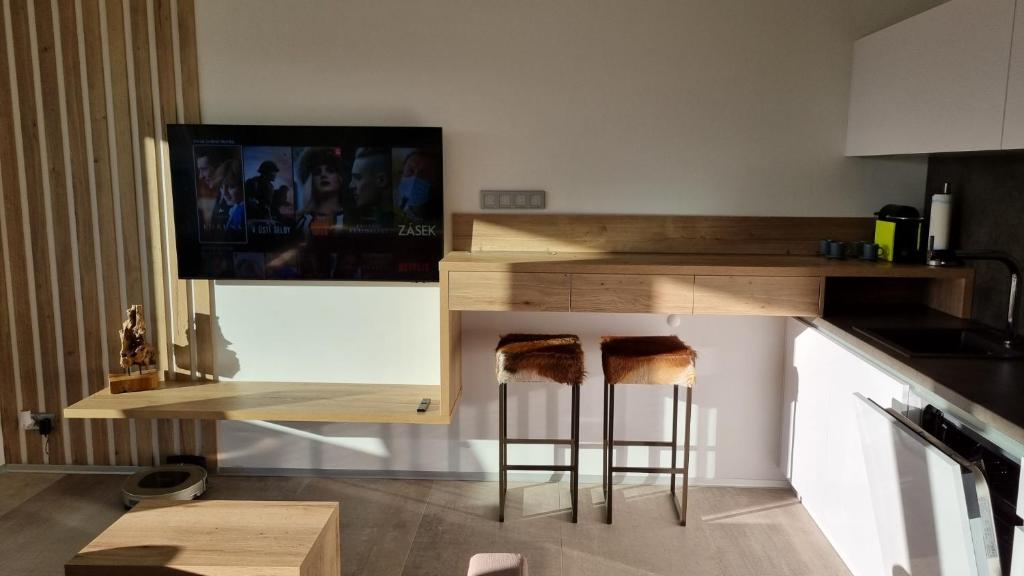 Kuchnia lub aneks kuchenny w obiekcie Apartment No. 29 - Riviéra Lipno nad Vltavou 511