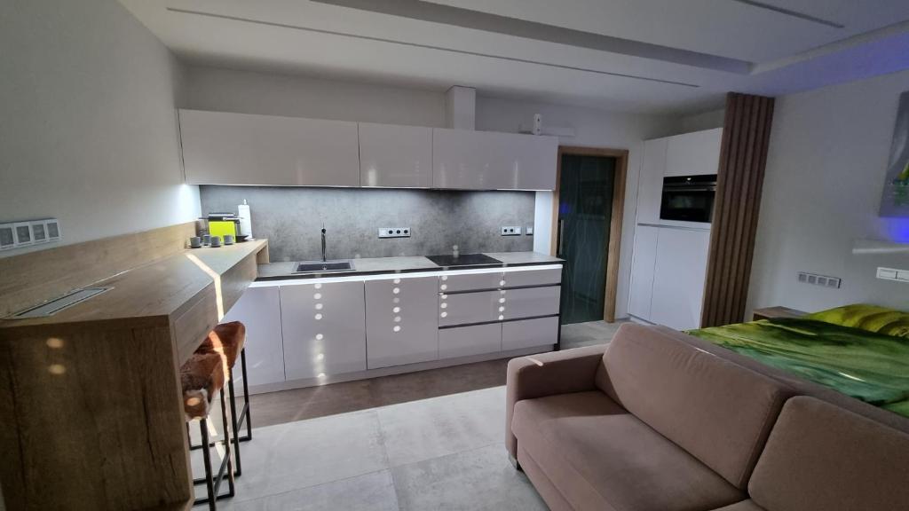 Kuchnia lub aneks kuchenny w obiekcie Apartment No. 29 - Riviéra Lipno nad Vltavou 511