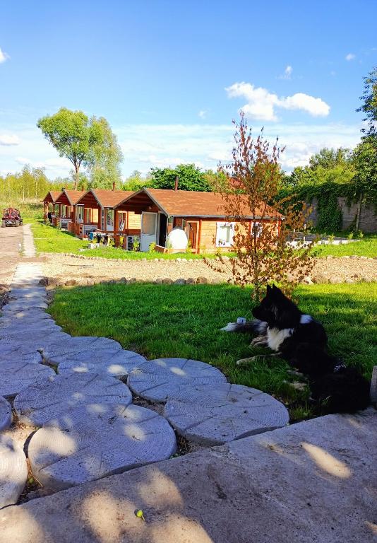 a cow laying in the grass next to a house at Agroturystyka Jeleń in Jeleń