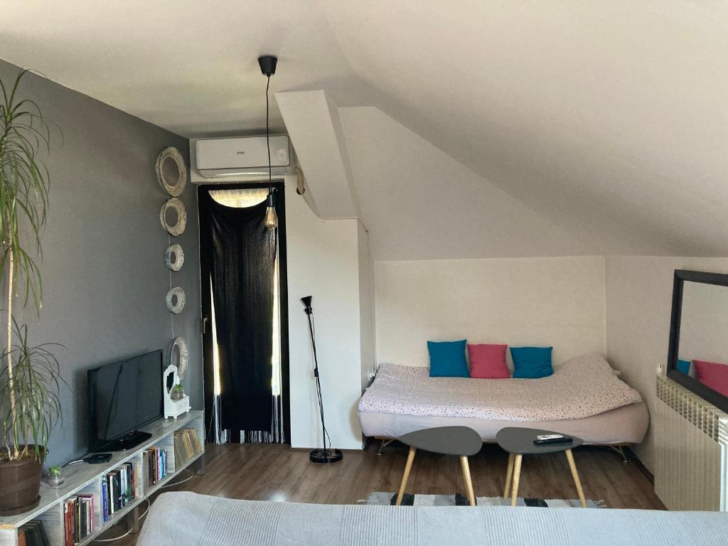 een slaapkamer met een bed en een tv in een kamer bij Stan na dan Loznica in Loznica