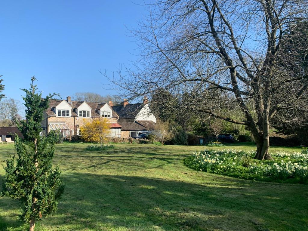 a house in a field with a christmas tree at Stable Cottage in Ilminster