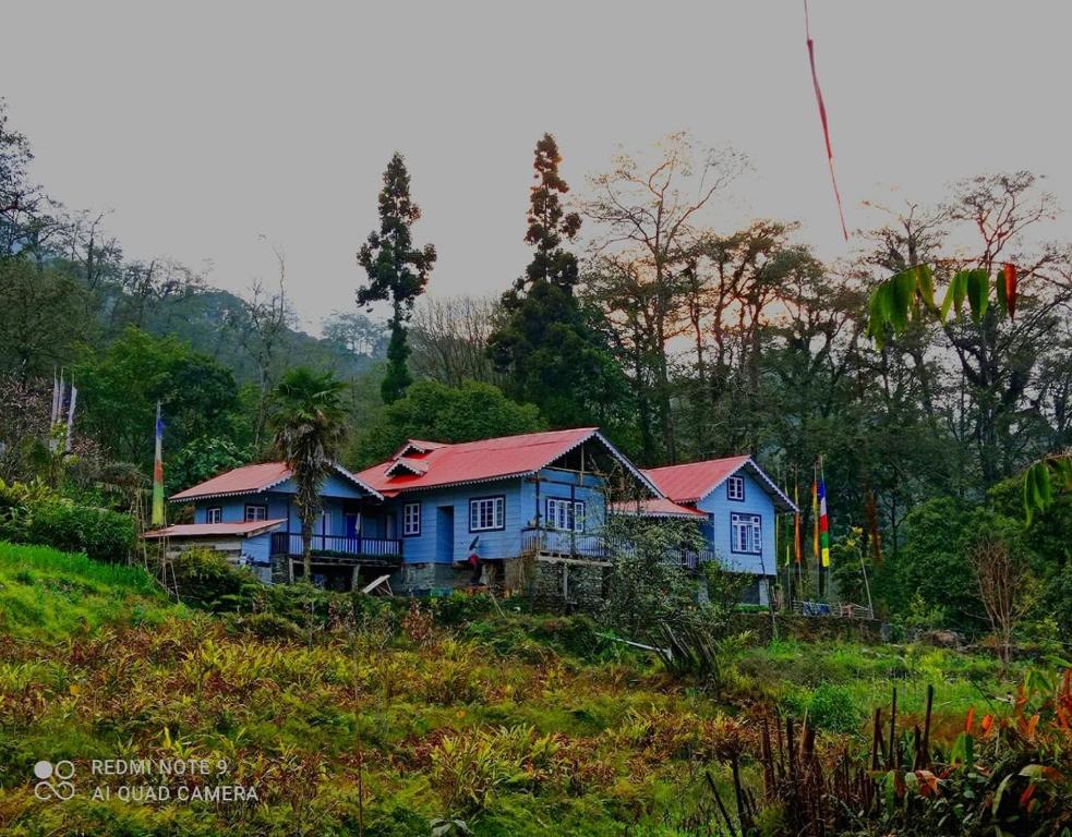 a group of houses sitting on top of a hill at Rinzeebong Homestay by StayApart in Mangan