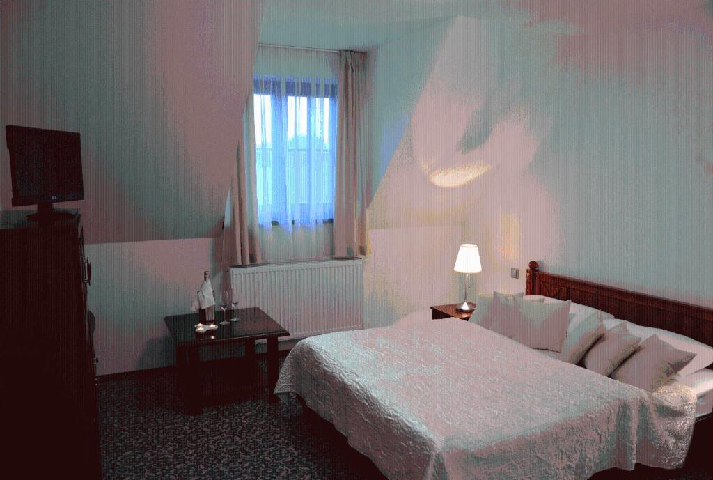 Hotel Zámek Velká Bystřice - 双室 - 残疾通道