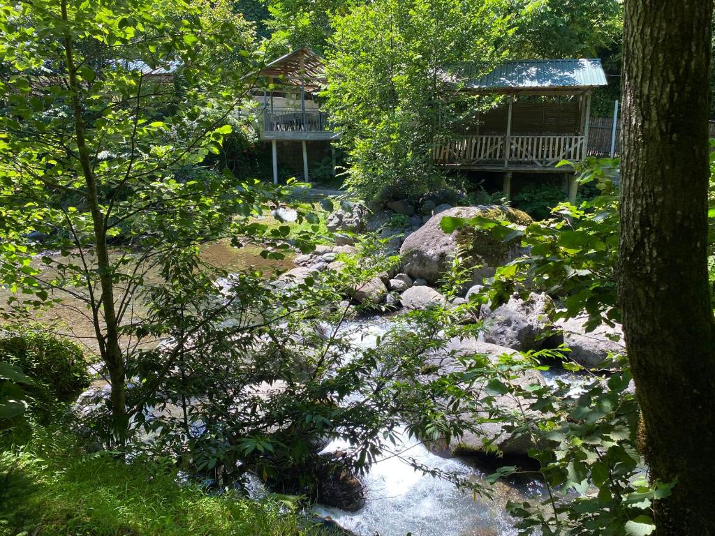 a garden with rocks and trees and a house at Venera's Guest House in Batumi