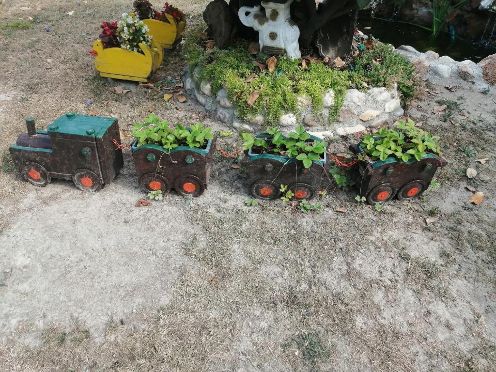 Zahrada ubytování Mala Kelja