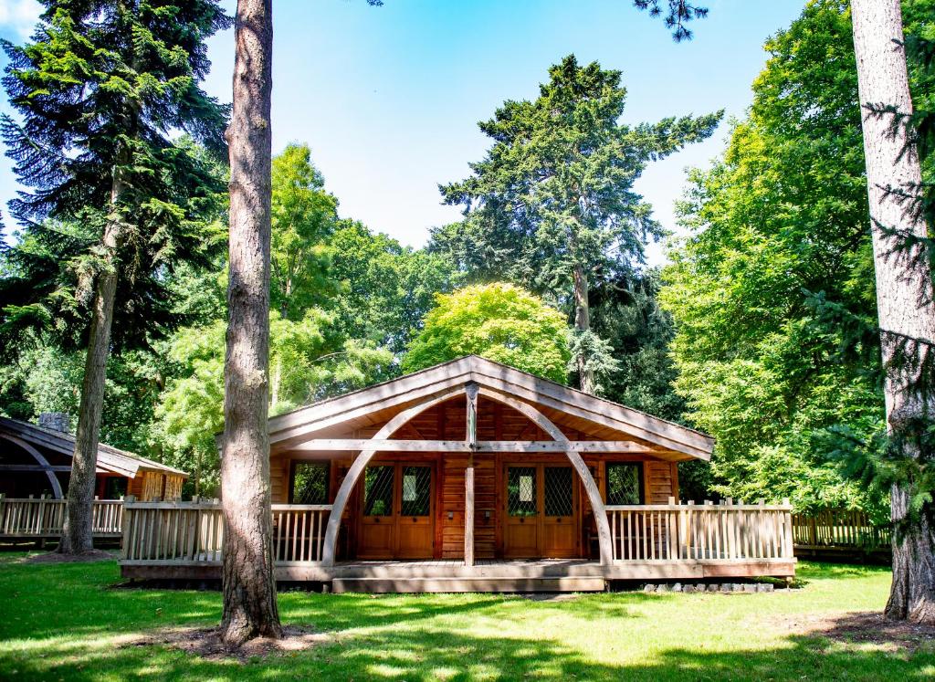 una cabaña de madera en el bosque con árboles en Warwick Castle Hotel & Knight's Village en Warwick